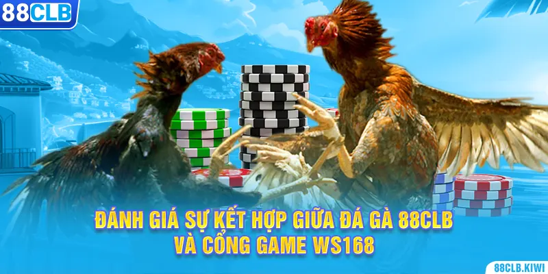 Đánh giá sự kết hợp giữa đá gà 88CLB và cổng game WS168